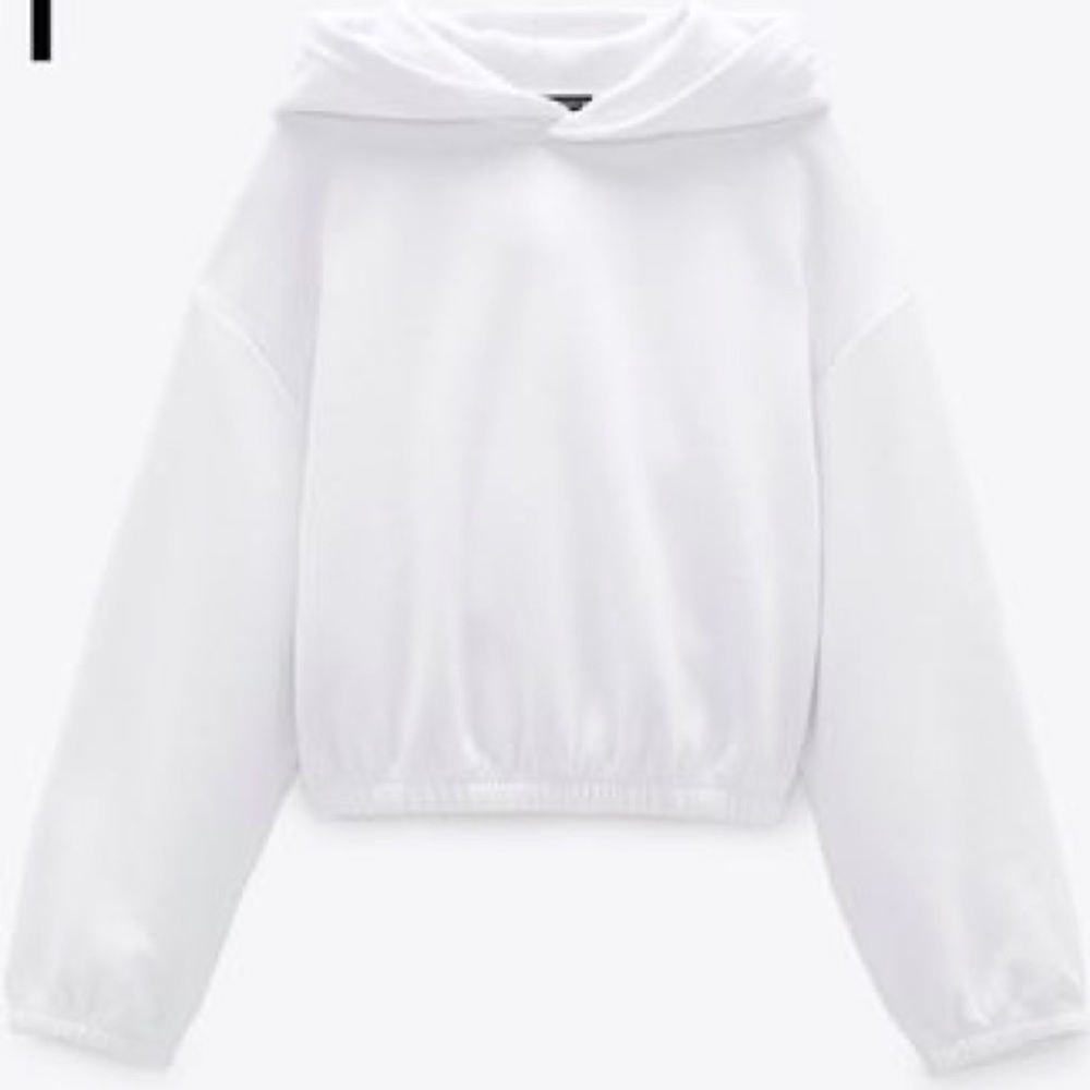 Zara Cropped Hoodie